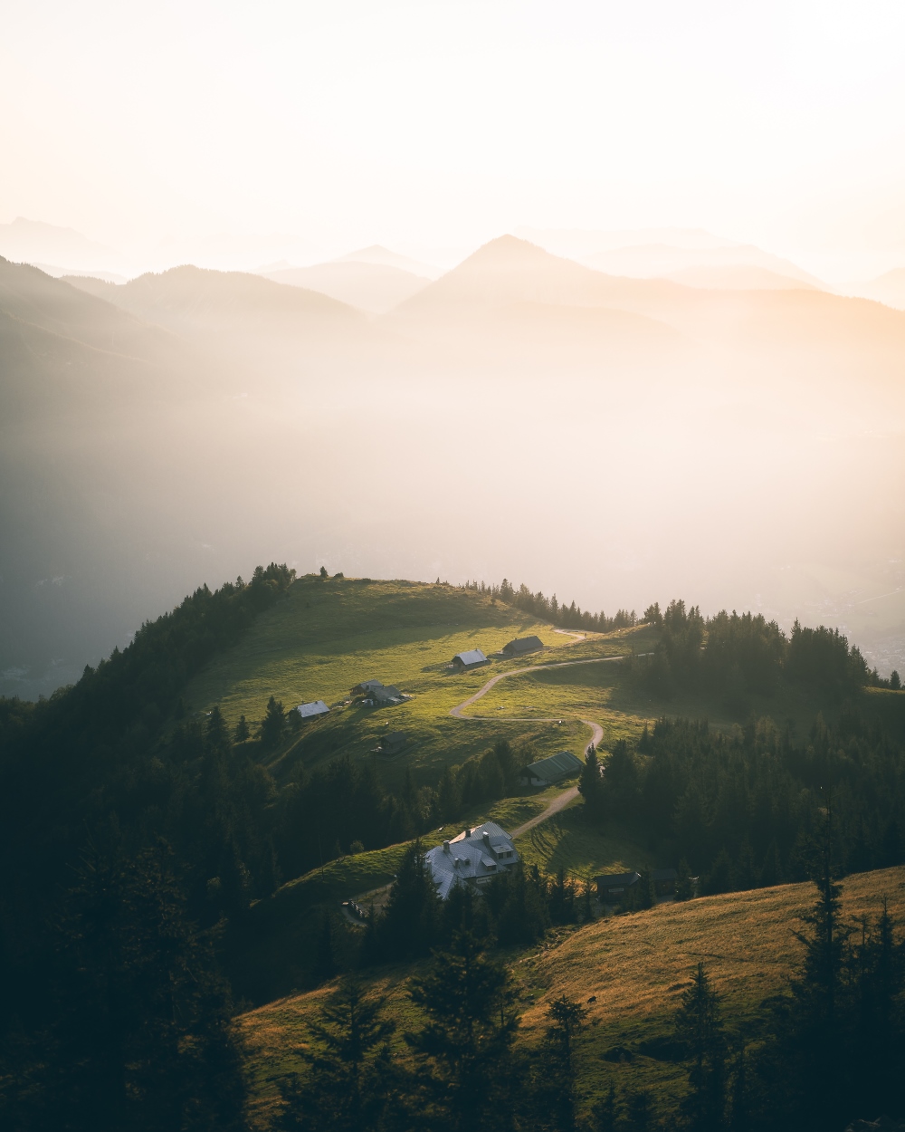 Nature Immersion